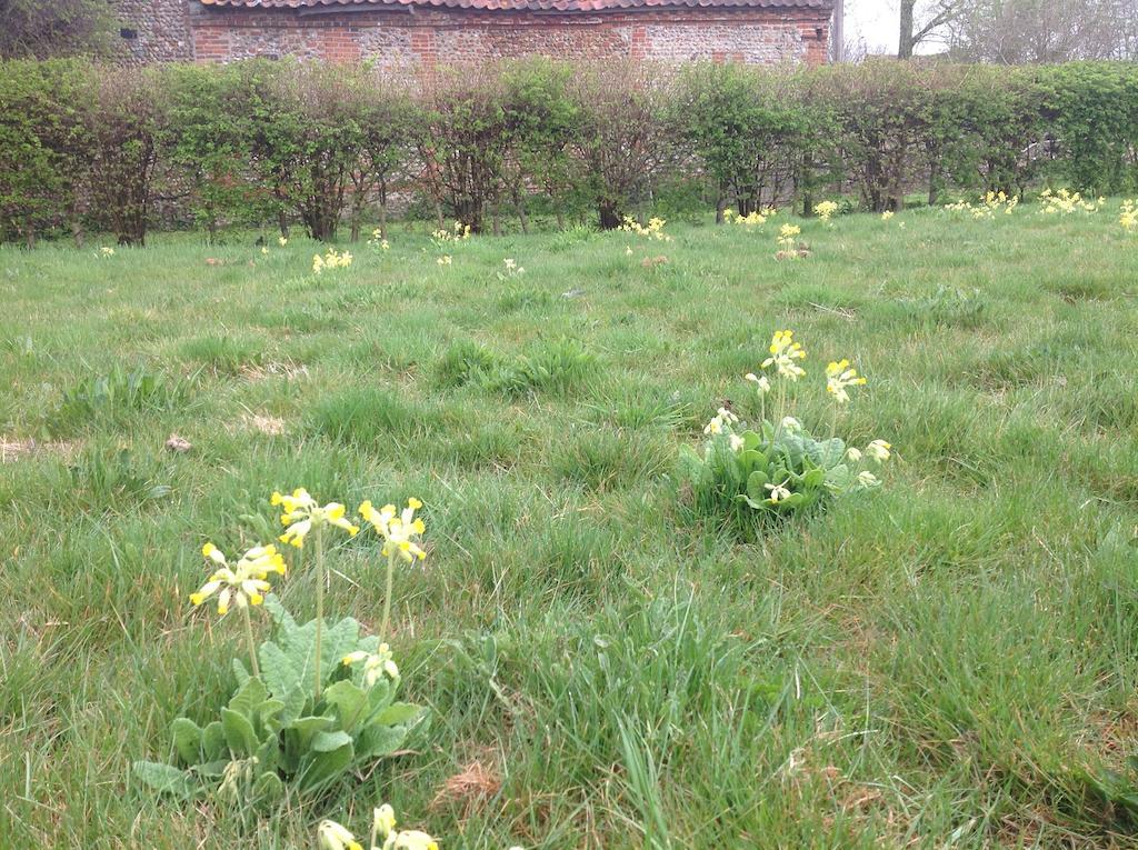 White House Farm Bed & Breakfast Hindolveston Bagian luar foto