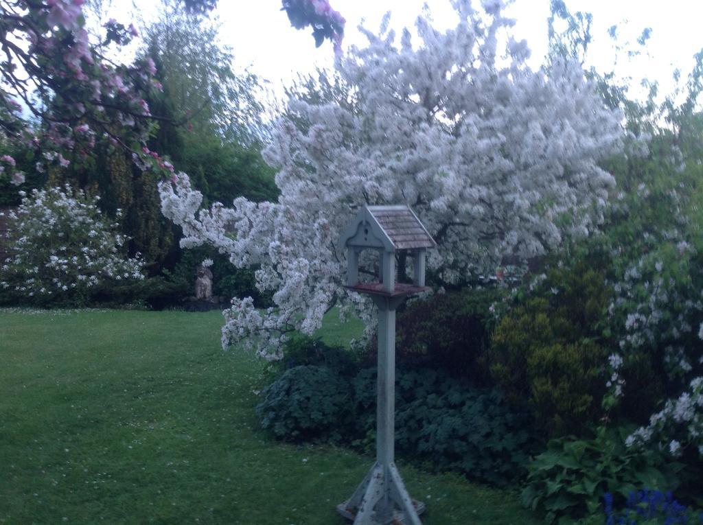 White House Farm Bed & Breakfast Hindolveston Bagian luar foto